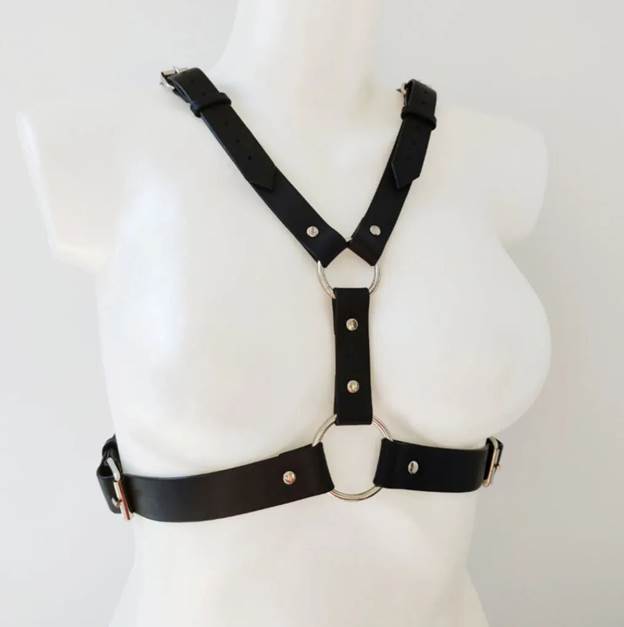A black leather harness on a mannequin

AI-generated content may be incorrect.