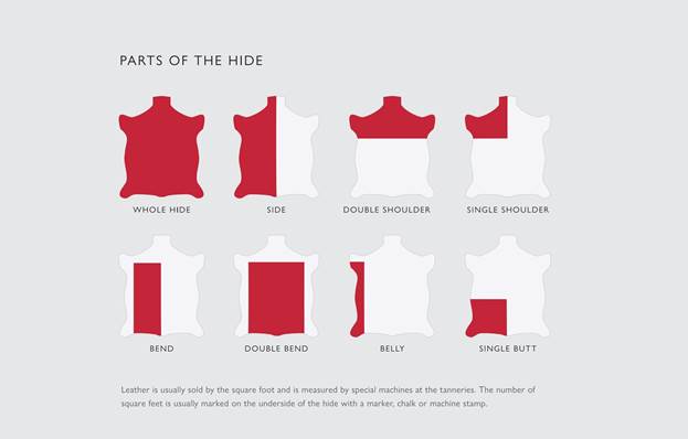 A diagram of different types of clothing

AI-generated content may be incorrect.